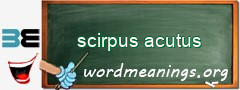 WordMeaning blackboard for scirpus acutus